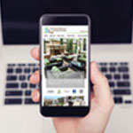 web site without ads